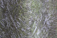 Stockwell Heath fibreglass roof work